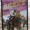 高松宮記念2017 G1レース予想挑戦記　はじめての中京競馬場！うましりアプリの活用で競馬を楽しむ！